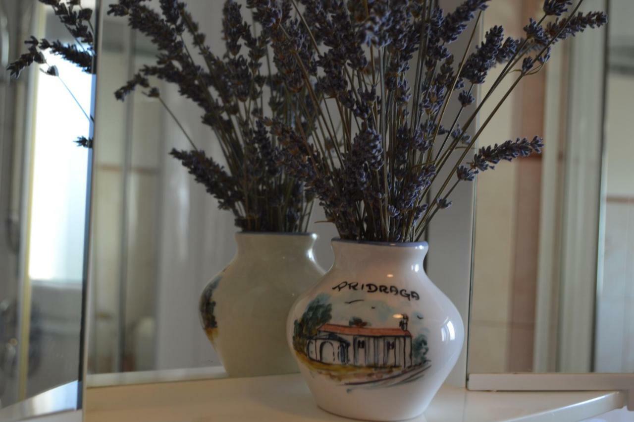 Apartman Lucija Daire Pridraga Dış mekan fotoğraf