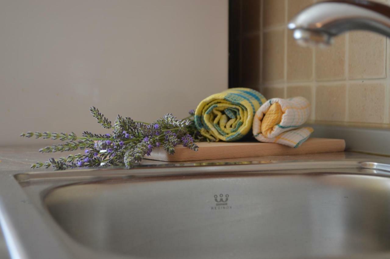 Apartman Lucija Daire Pridraga Dış mekan fotoğraf