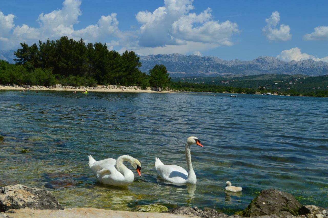 Apartman Lucija Daire Pridraga Dış mekan fotoğraf